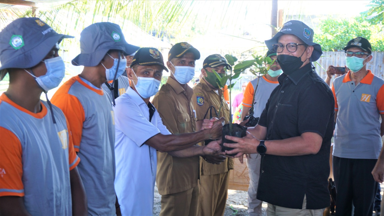 Unkhair Dan Harita Nickel Tanam Lebih Dari Bibit Mangrove