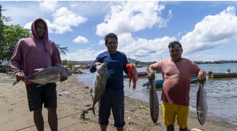 Halmahera Selatan