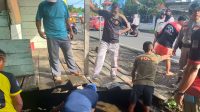 IMG-20221028-WA0034