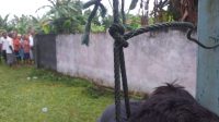 IMG-20221031-WA0077