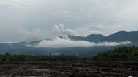 IMG-20221117-WA0101