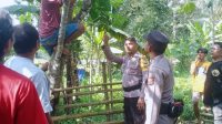 IMG-20230912-WA0041